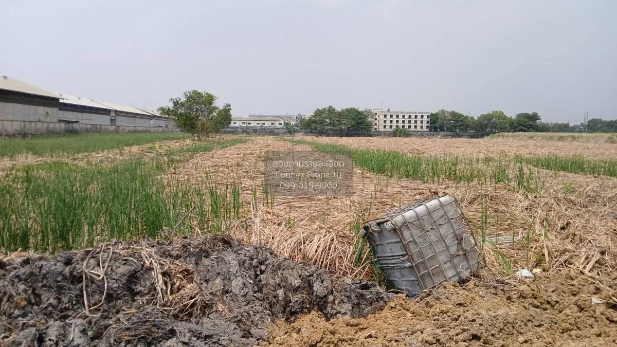 ขายที่ดินเปล่า บางปะอิน อยุธยา คลองจิก บางปะอิน พระนครศรีอยุธยา C 2