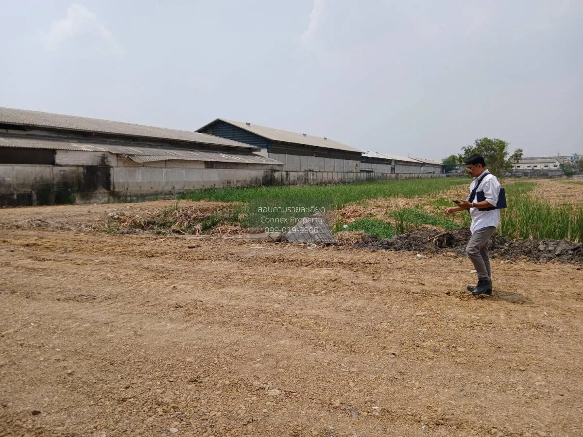 ขายที่ดินเปล่า บางปะอิน อยุธยา คลองจิก บางปะอิน พระนครศรีอยุธยา C