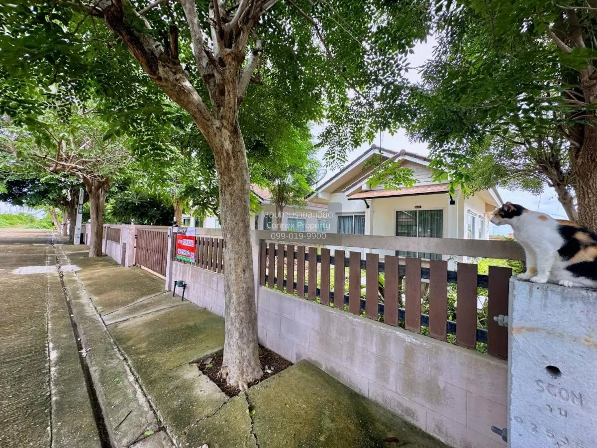 ขายบ้าน  บ้านดาหลา แหลมผักเบี้ย แหลมผักเบี้ย บ้านแหลม เพชรบุรี CX 3