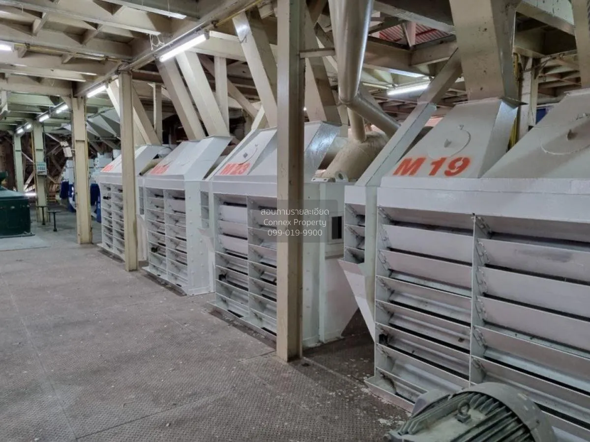 ขายโรงสีข้าว ขนาด 90 ไร่ หนองกระเจา ชุมแสง นครสวรรค์ CX-103558