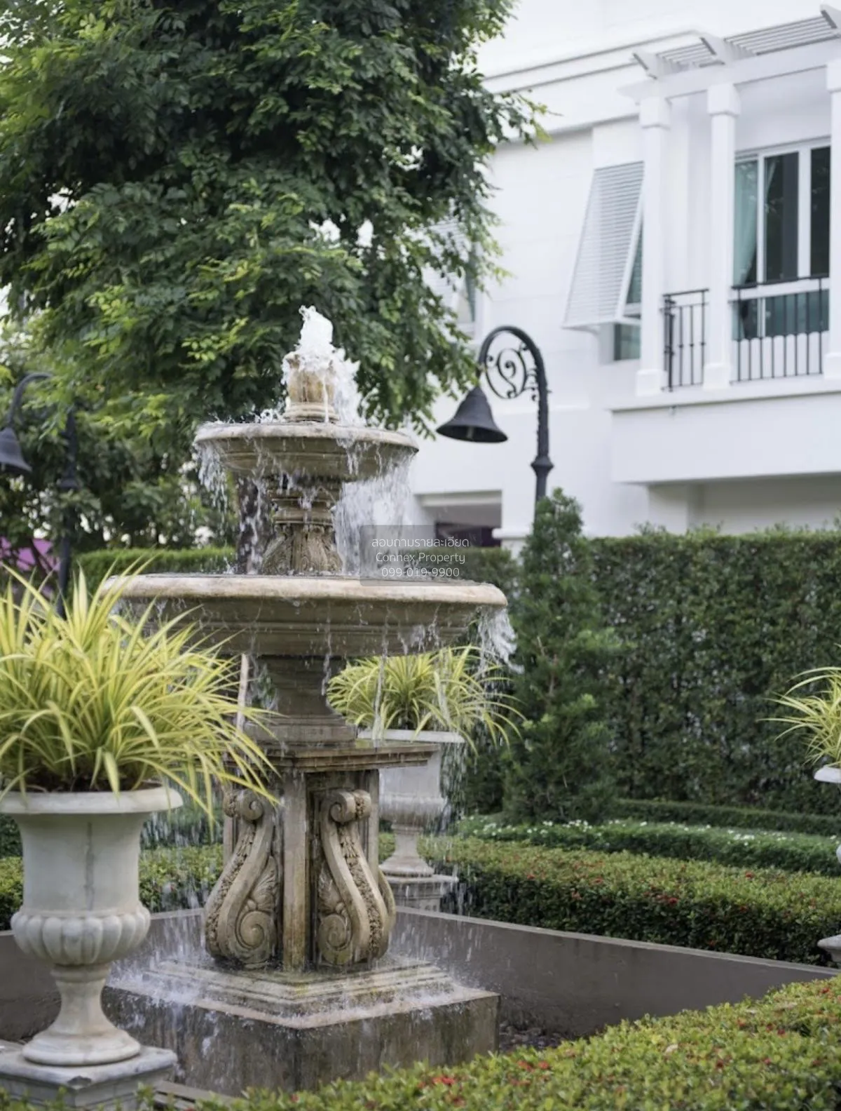 เช่าทาวน์เฮ้าส์/ทาวน์โฮม  ลีออง สุขมวิท 62 BTS-บางจาก พระโขนงใต้ 