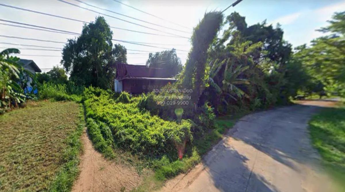 ขายที่ดินเปล่า อ่างทอง ป่างิ้ว โพธิ์ทอง อ่างทอง CX-104041 2