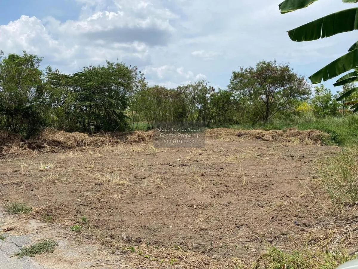 ขายที่ดินเปล่า ถนน บางม่วง - บางคูลัด บางม่วง บางใหญ่ นนทบุรี CX- 1