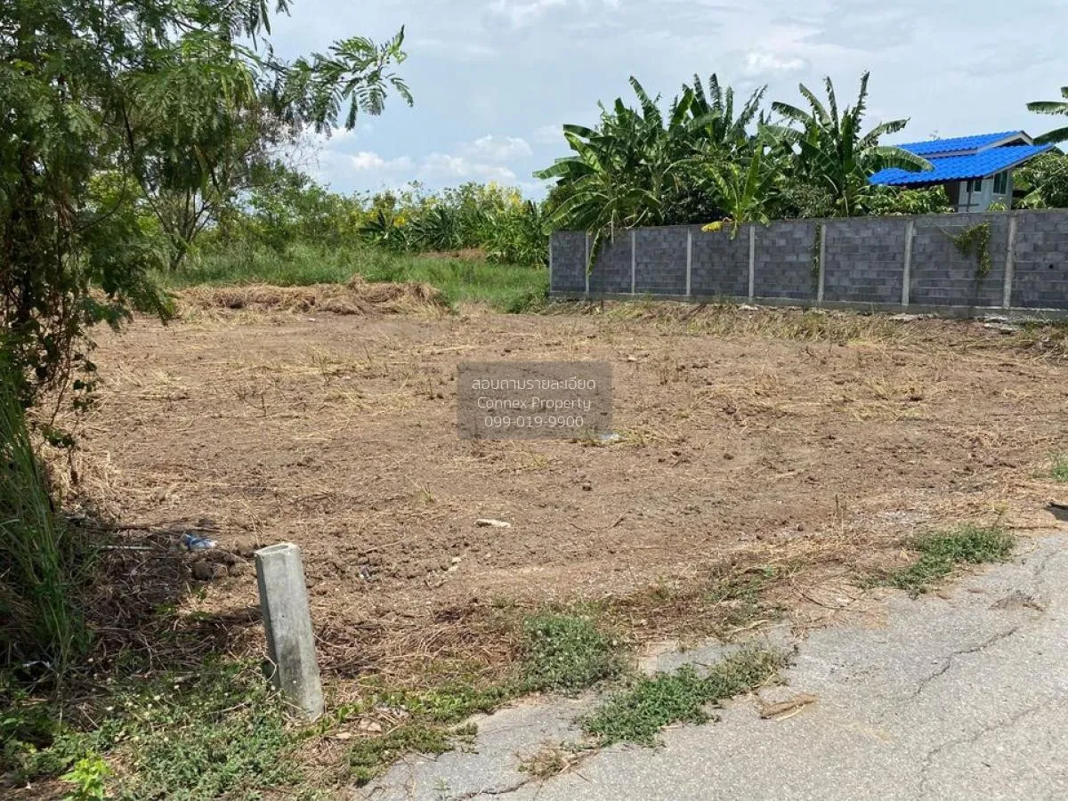 ขายที่ดินเปล่า ถนน บางม่วง - บางคูลัด บางม่วง บางใหญ่ นนทบุรี CX- 2