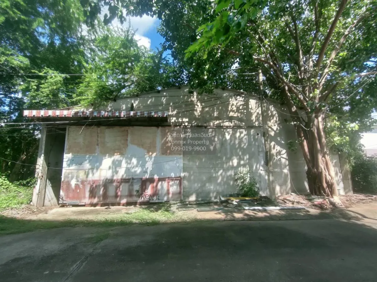 ขายโกดัง ซ.13 ตลาด เมืองมหาสารคาม มหาสารคาม CX-104162 1