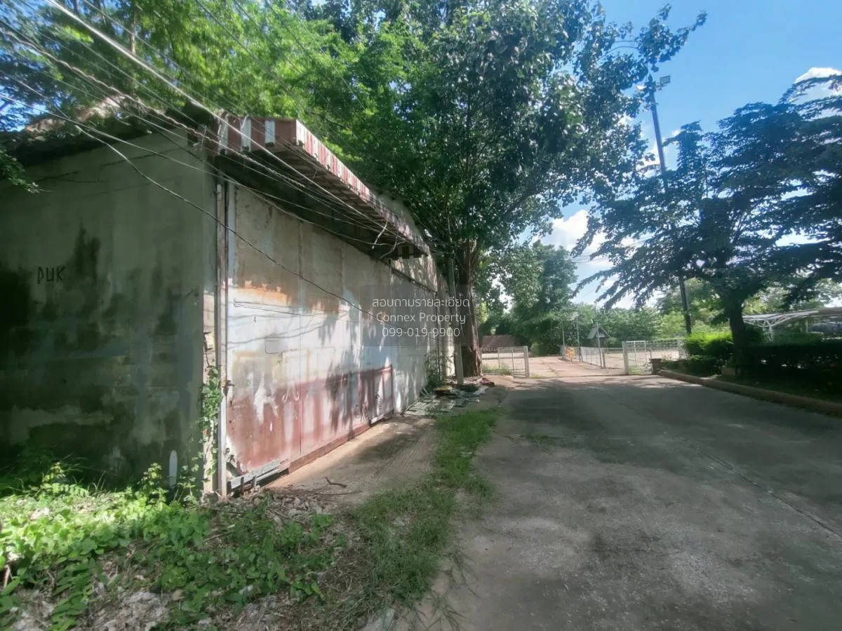 ขายโกดัง ซ.13 ตลาด เมืองมหาสารคาม มหาสารคาม CX-104162 2