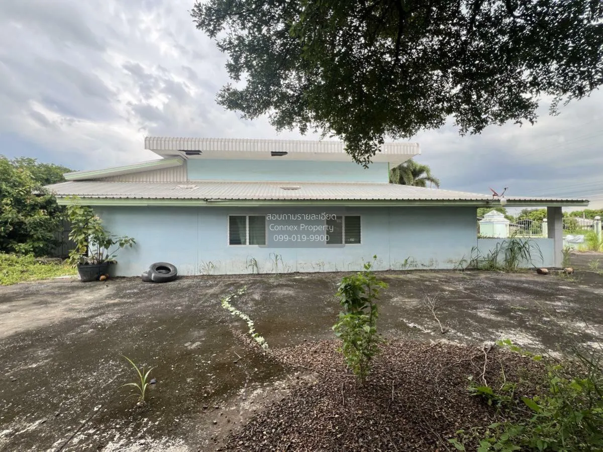 For Sale Phitsanulok Building , Bueng Phra , Mueang Phitsanulok ,