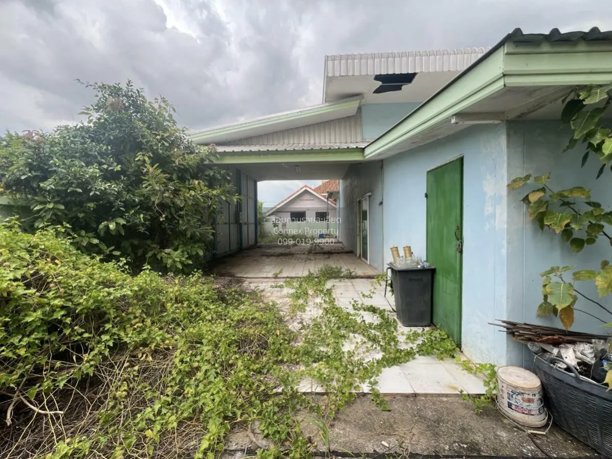 For Sale Phitsanulok Building , Bueng Phra , Mueang Phitsanulok ,