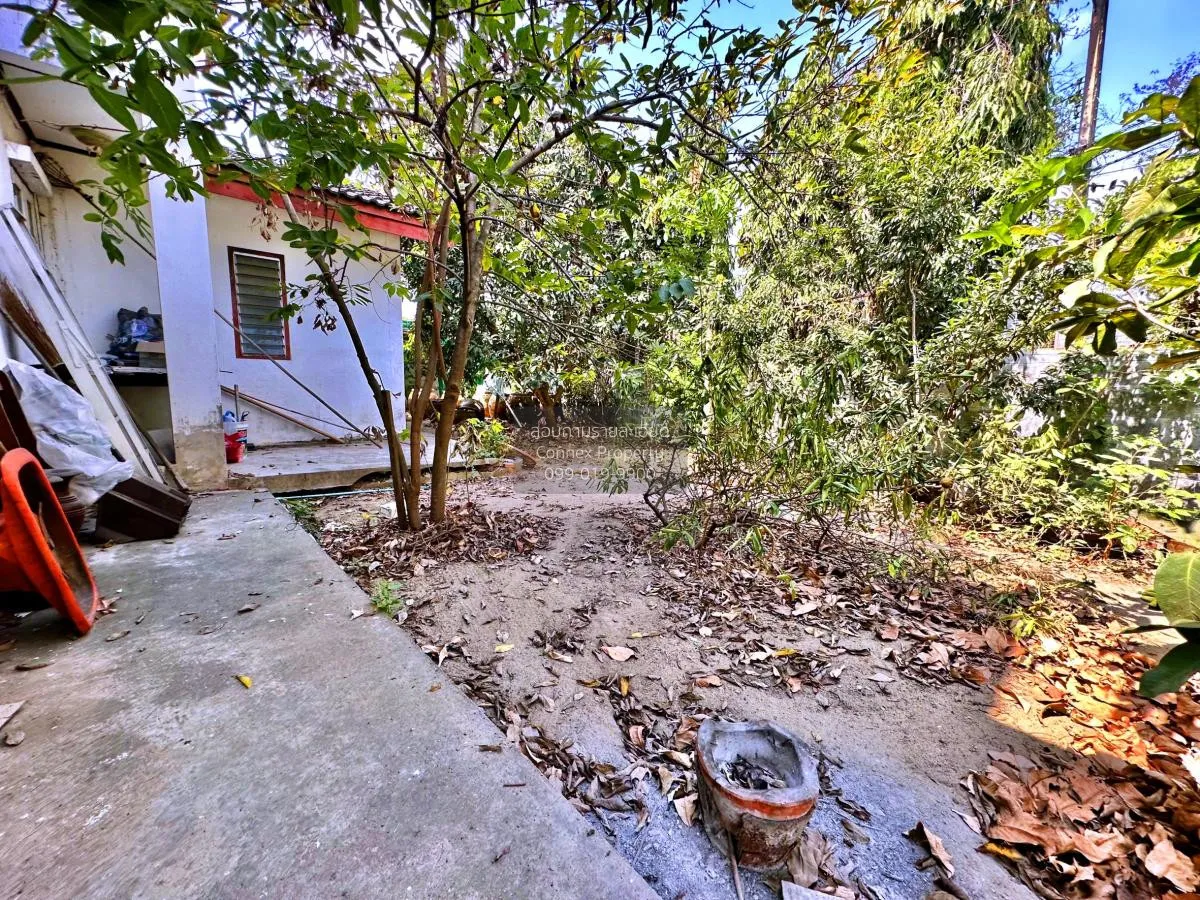 ขายบ้าน  ทัศชัย วิลล่า บางหลวง เมืองปทุมธานี ปทุมธานี CX-104633