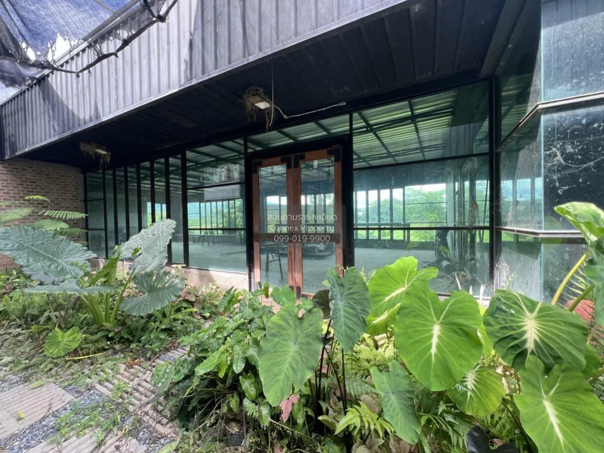 For Sale a building-ready land , Wang Thong , Wang Thong , Phitsa