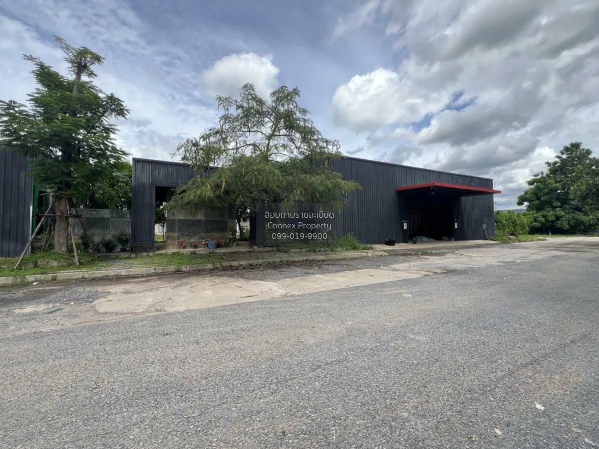 For Sale a building-ready land , Wang Thong , Wang Thong , Phitsa