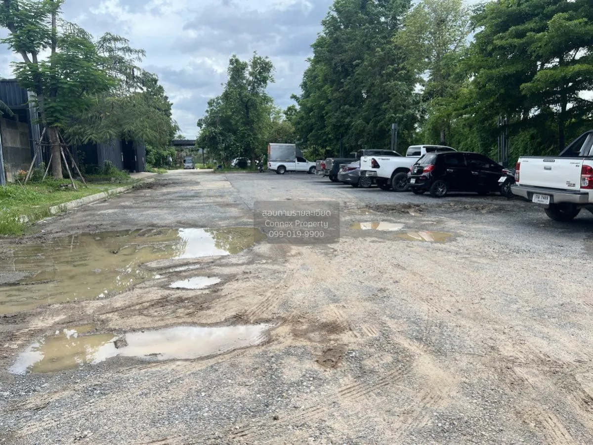 For Sale a building-ready land , Wang Thong , Wang Thong , Phitsa