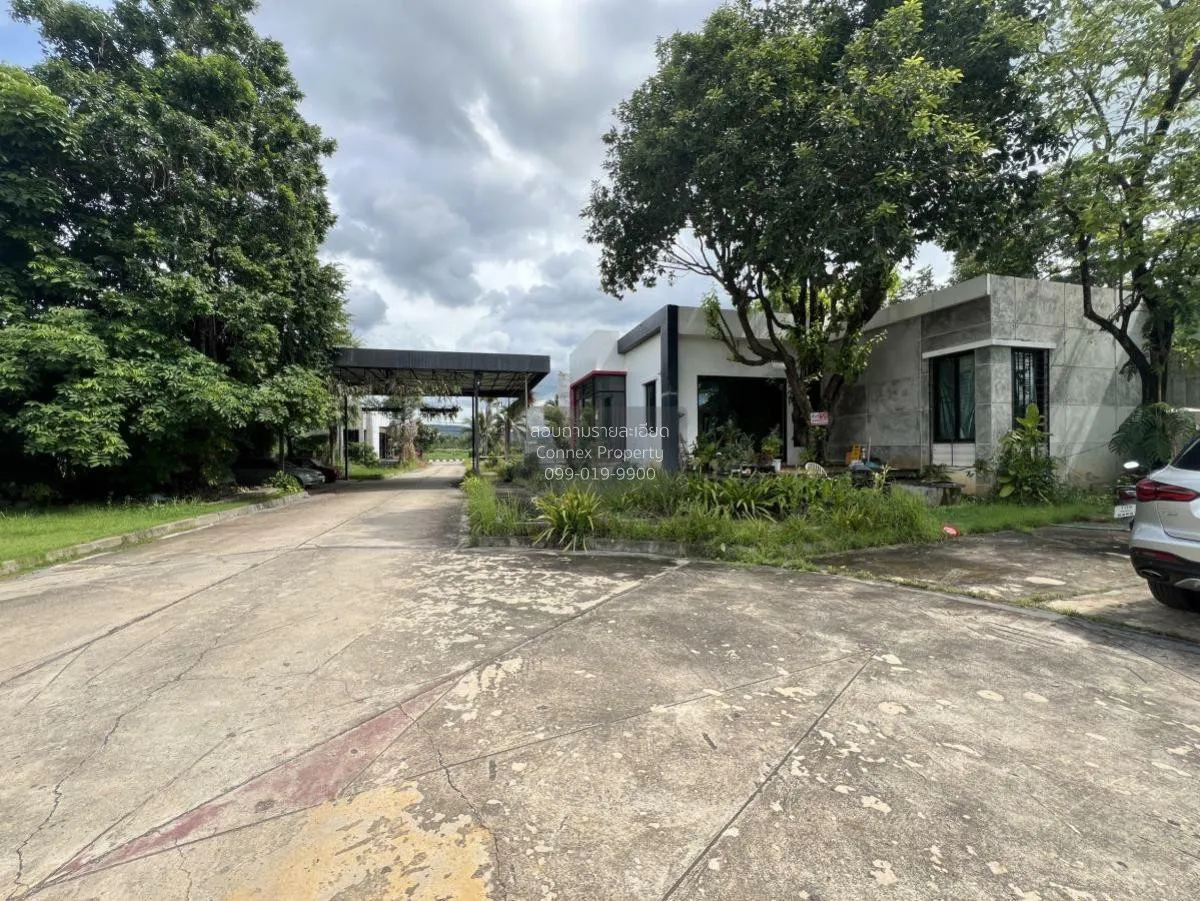 For Sale a building-ready land , Wang Thong , Wang Thong , Phitsa