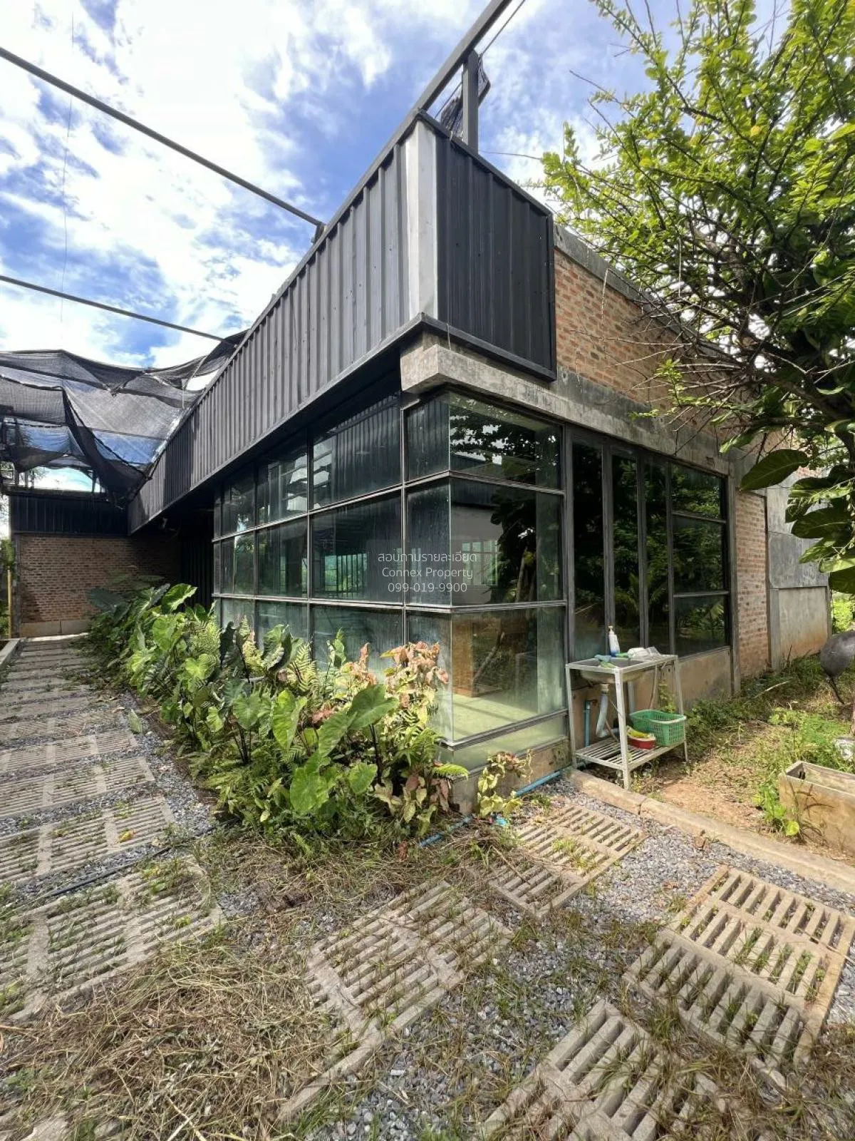 For Sale a building-ready land , Wang Thong , Wang Thong , Phitsa