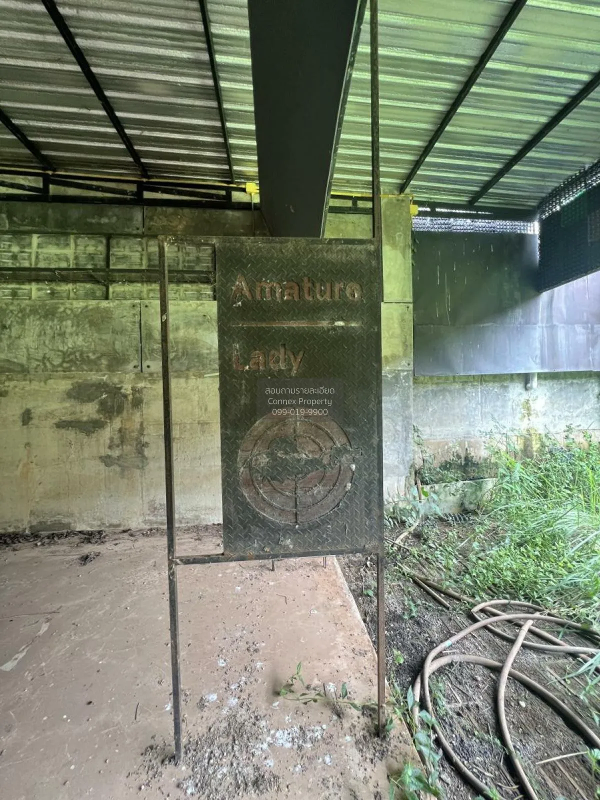 For Sale a building-ready land , Wang Thong , Wang Thong , Phitsa