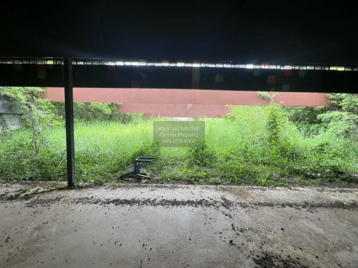 For Sale a building-ready land , Wang Thong , Wang Thong , Phitsa