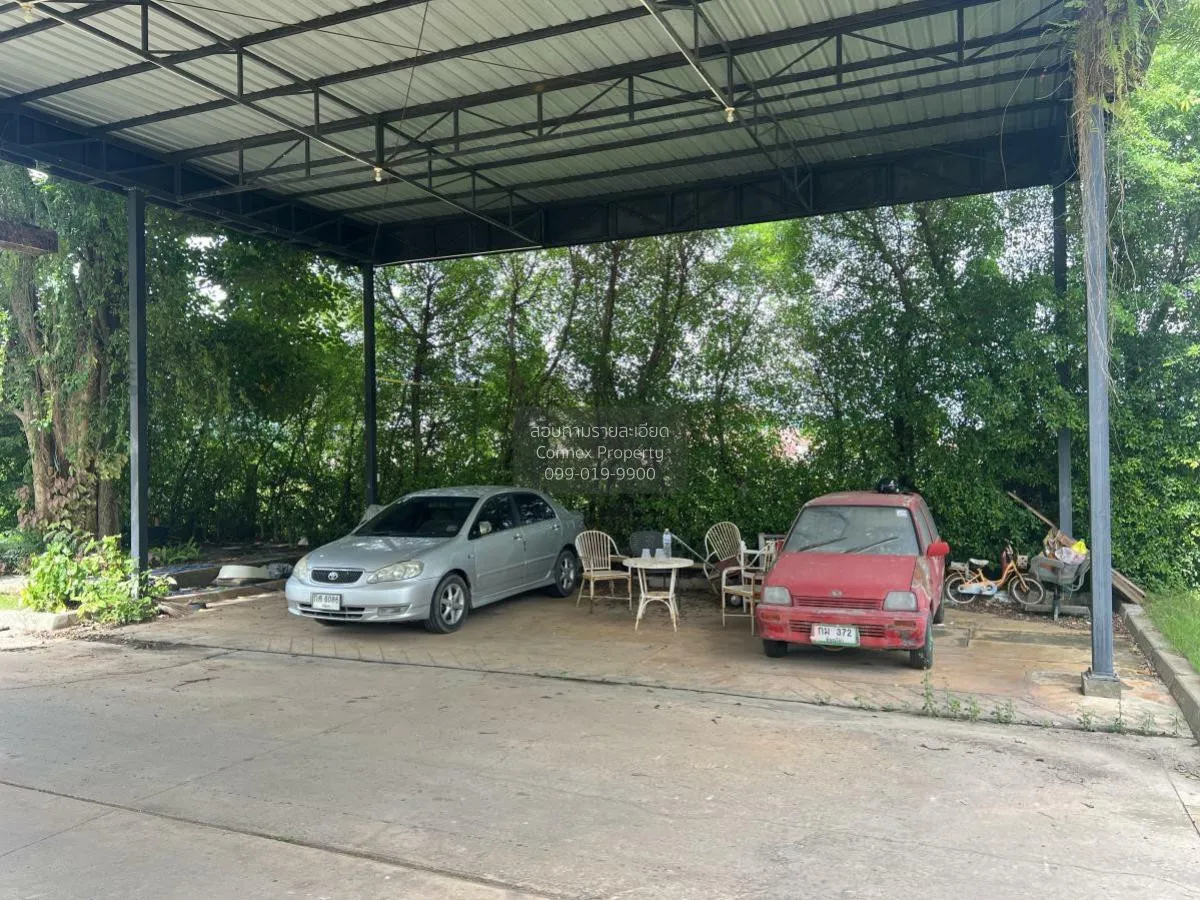 For Sale a building-ready land , Wang Thong , Wang Thong , Phitsa 4