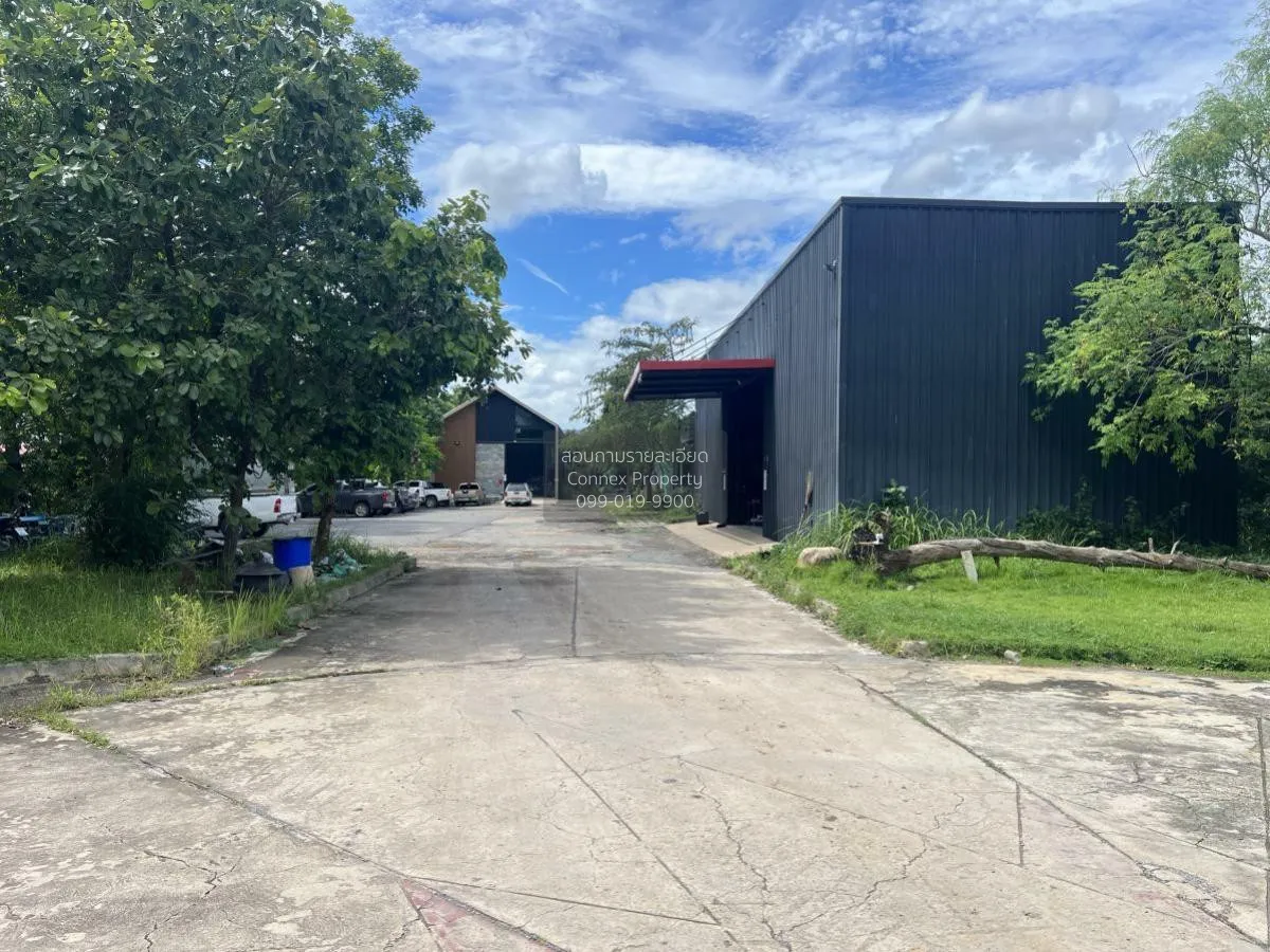 For Sale a building-ready land , Wang Thong , Wang Thong , Phitsa