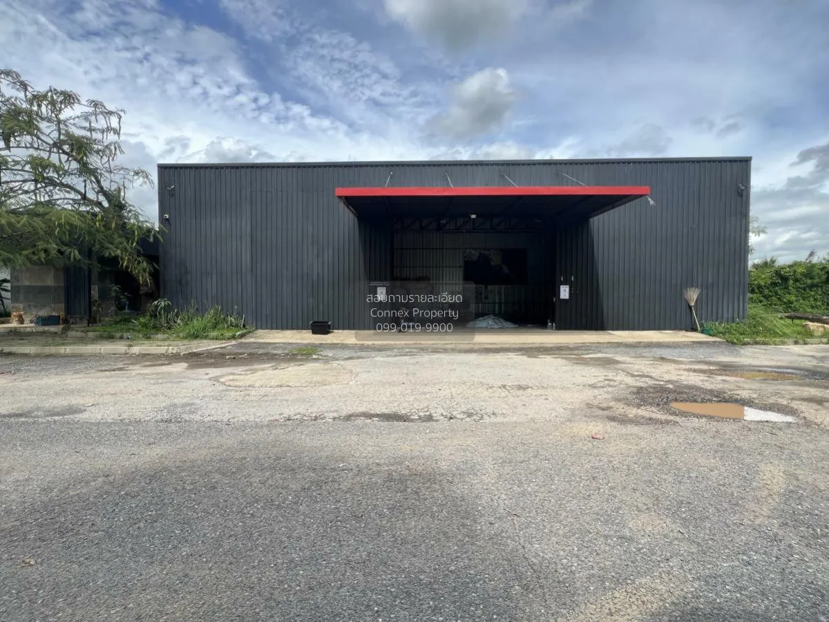 For Sale a building-ready land , Wang Thong , Wang Thong , Phitsa