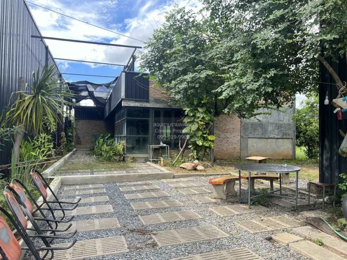 For Sale a building-ready land , Wang Thong , Wang Thong , Phitsa