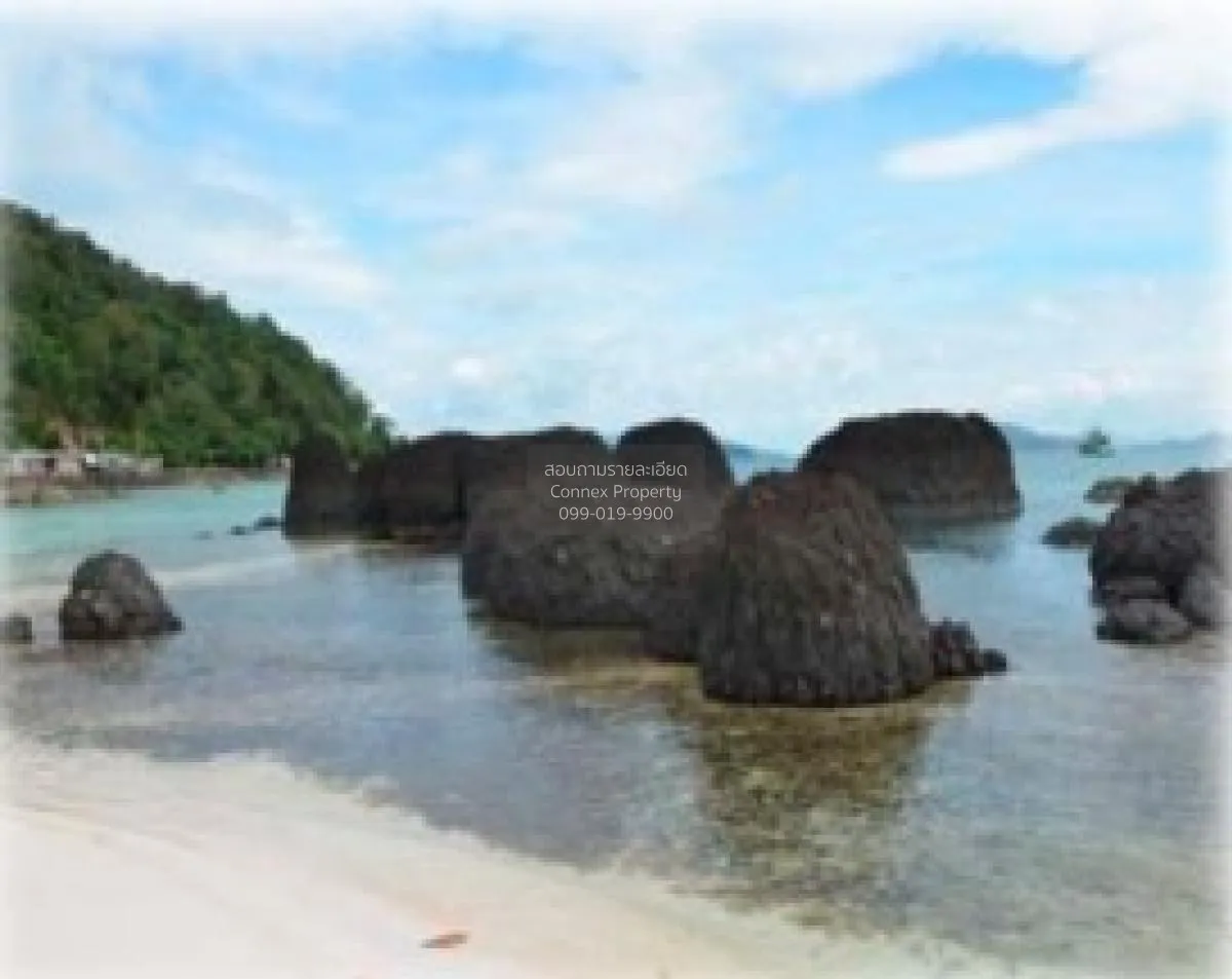 For Sale Land 10 rai Koh Kham , Ko Mak , Ko Kut , Trat , CX-10505