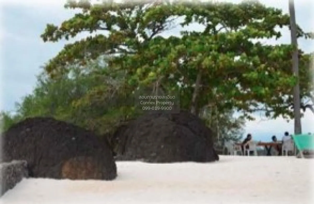 For Sale Land 10 rai Koh Kham , Ko Mak , Ko Kut , Trat , CX-10505