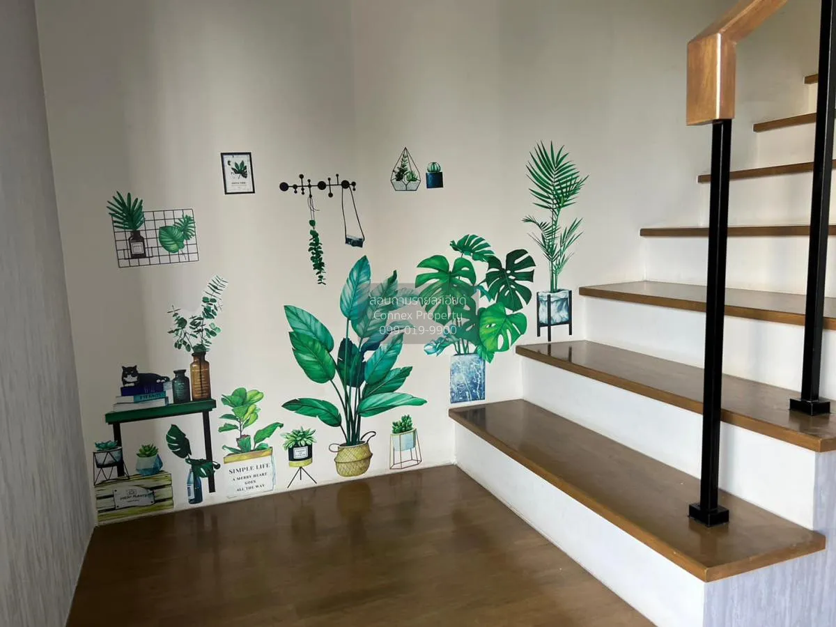 เช่าทาวน์เฮ้าส์/ทาวน์โฮม  พลีโน่ สุขุมวิท-บางนา บางแก้ว บางพลี สม