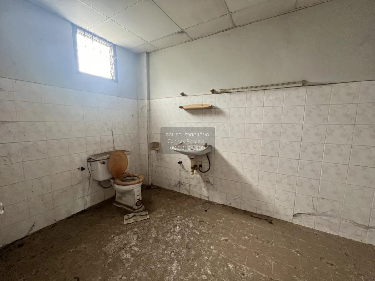 ขายอาคารพาณิชย์ วังทอง วังทอง พิษณุโลก CX-105311