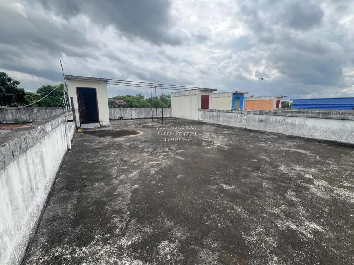 ขายอาคารพาณิชย์ วังทอง วังทอง พิษณุโลก CX-105311