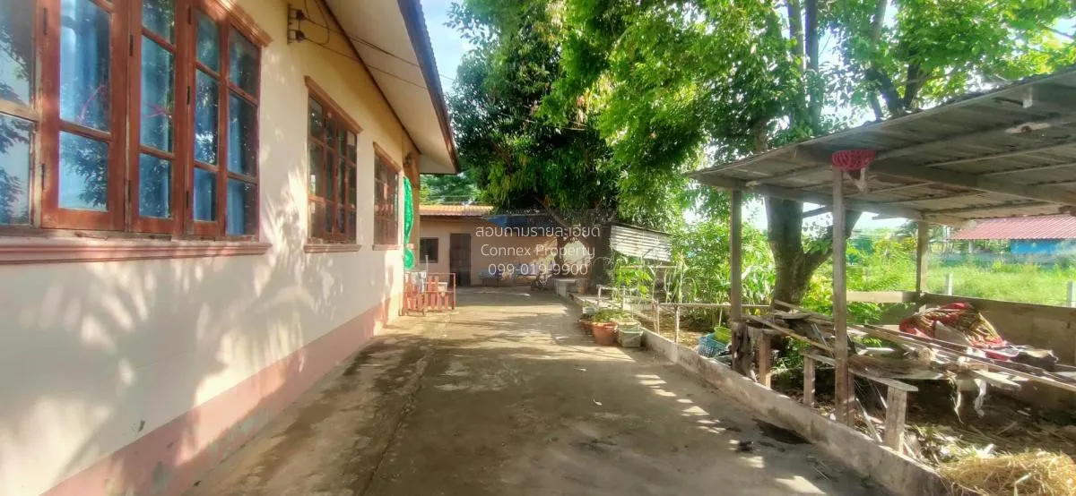 For Sale Detached House Dong Lan , Dong Lan , Mueang Roi Et , Roi 4