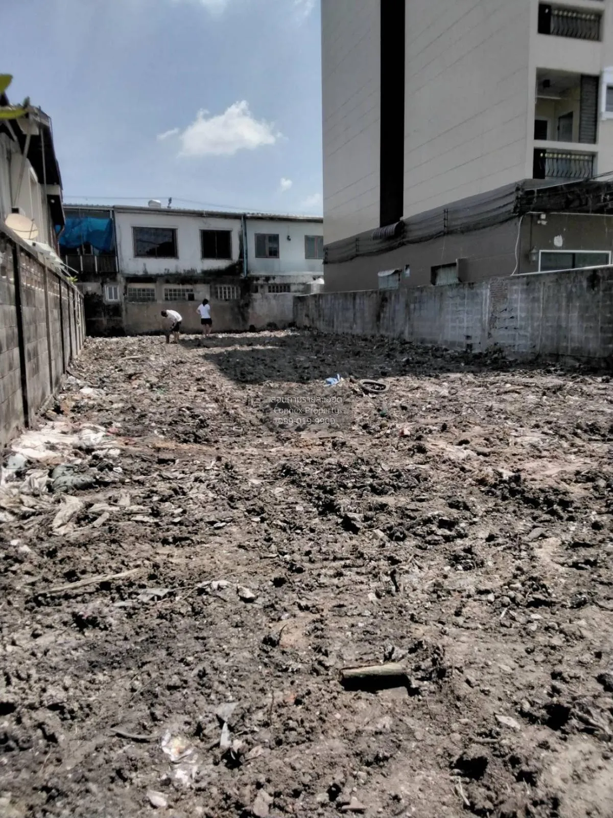 ขายที่ดินเปล่า ถนนเสนานิคม เสนางคนิคม เขต จตุจักร กรุงเทพ CX-1054