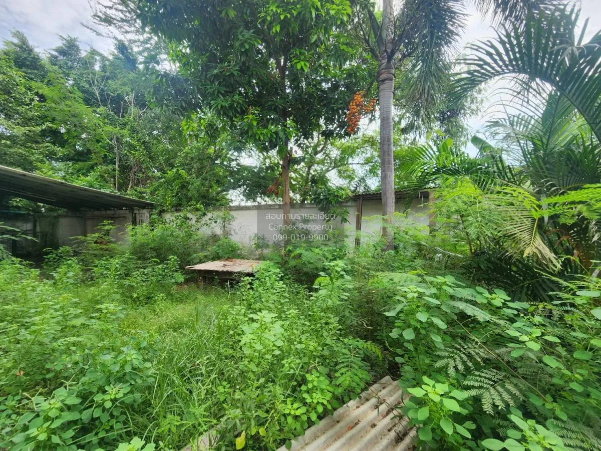 ขายทาวน์เฮ้าส์/ทาวน์โฮม  กู๊ดโฮม พานทอง ห้องมุม พานทอง พานทอง ชลบ