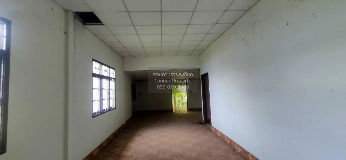 ขายบ้านเดี่ยว วาปีปทุม ประชาพัฒนา วาปีปทุม มหาสารคาม CX-106030