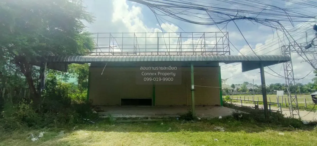 ขายอาคาร เกษตรวิสัย เกษตรวิสัย เกษตรวิสัย ร้อยเอ็ด CX-106034 1