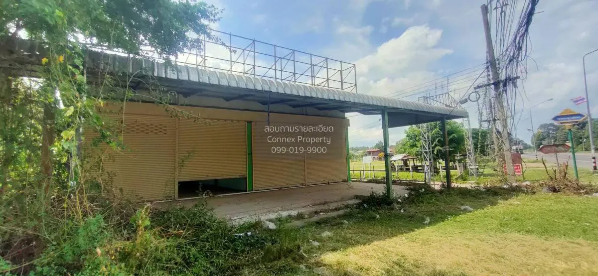 ขายอาคาร เกษตรวิสัย เกษตรวิสัย เกษตรวิสัย ร้อยเอ็ด CX-106034 2