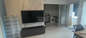 For Sale Condo , The Tree Sukhumvit 64 , BTS-Punnawithi , Phra Khanong , Phra Khanong , Bangkok , CX-106269