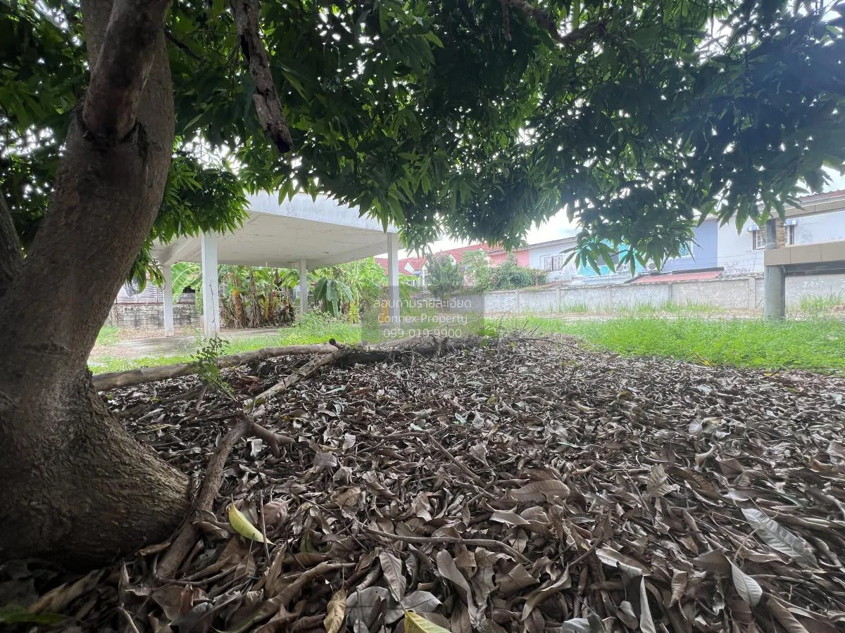 For Sale a detached house , Nai Mueang , Mueang Phitsanulok , Phi