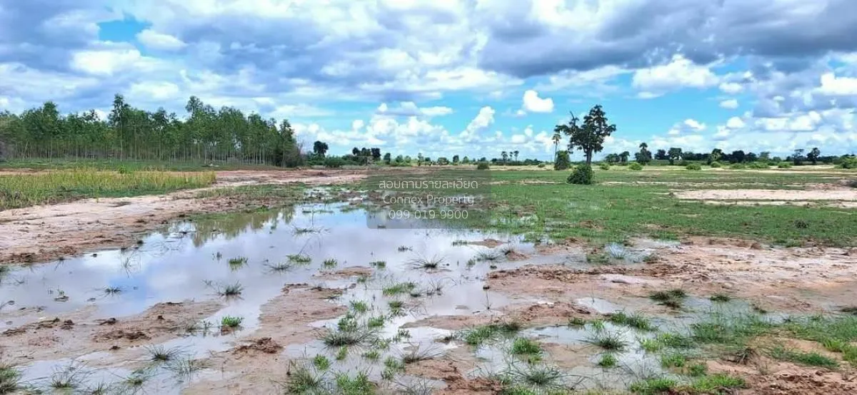 ขายที่ดินเปล่า นครราชสีมา หน้ากว้าง บ้านวัง โนนไทย นครราชสีมา CX- 3