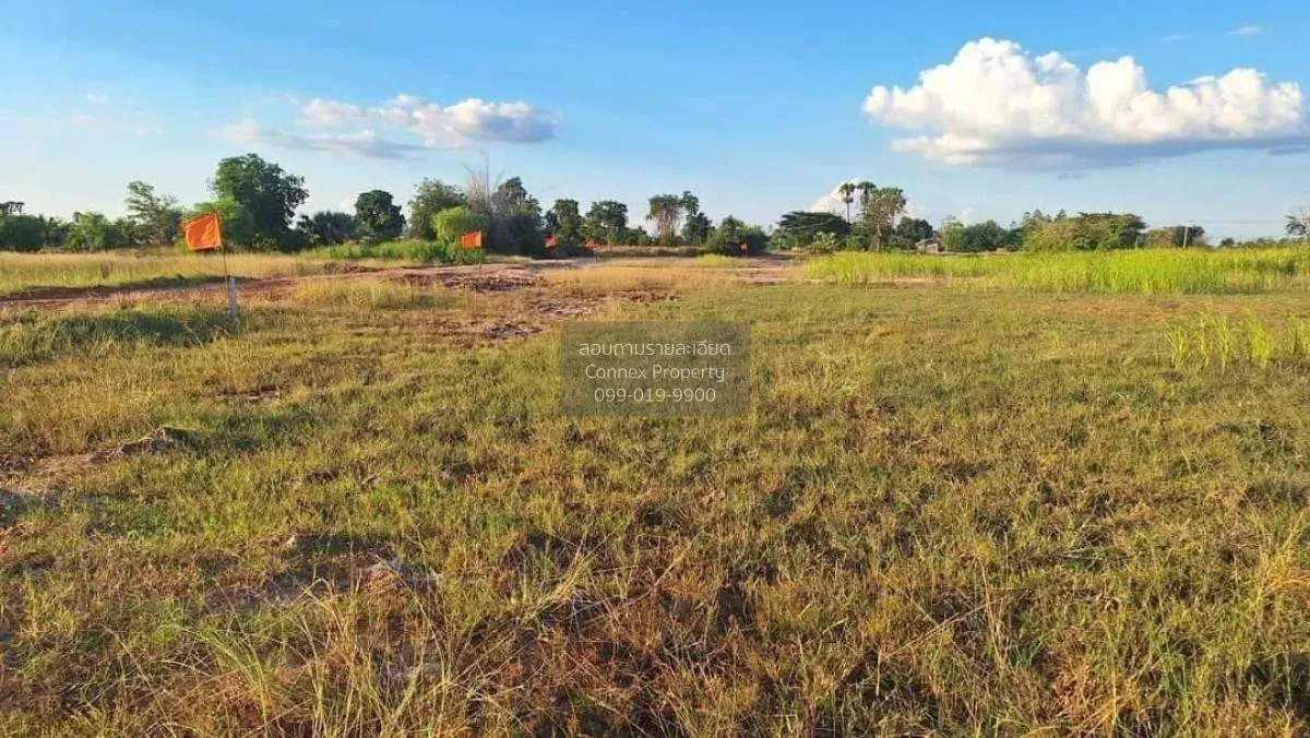 ขายที่ดินเปล่า นครราชสีมา หน้ากว้าง บ้านวัง โนนไทย นครราชสีมา CX- 4