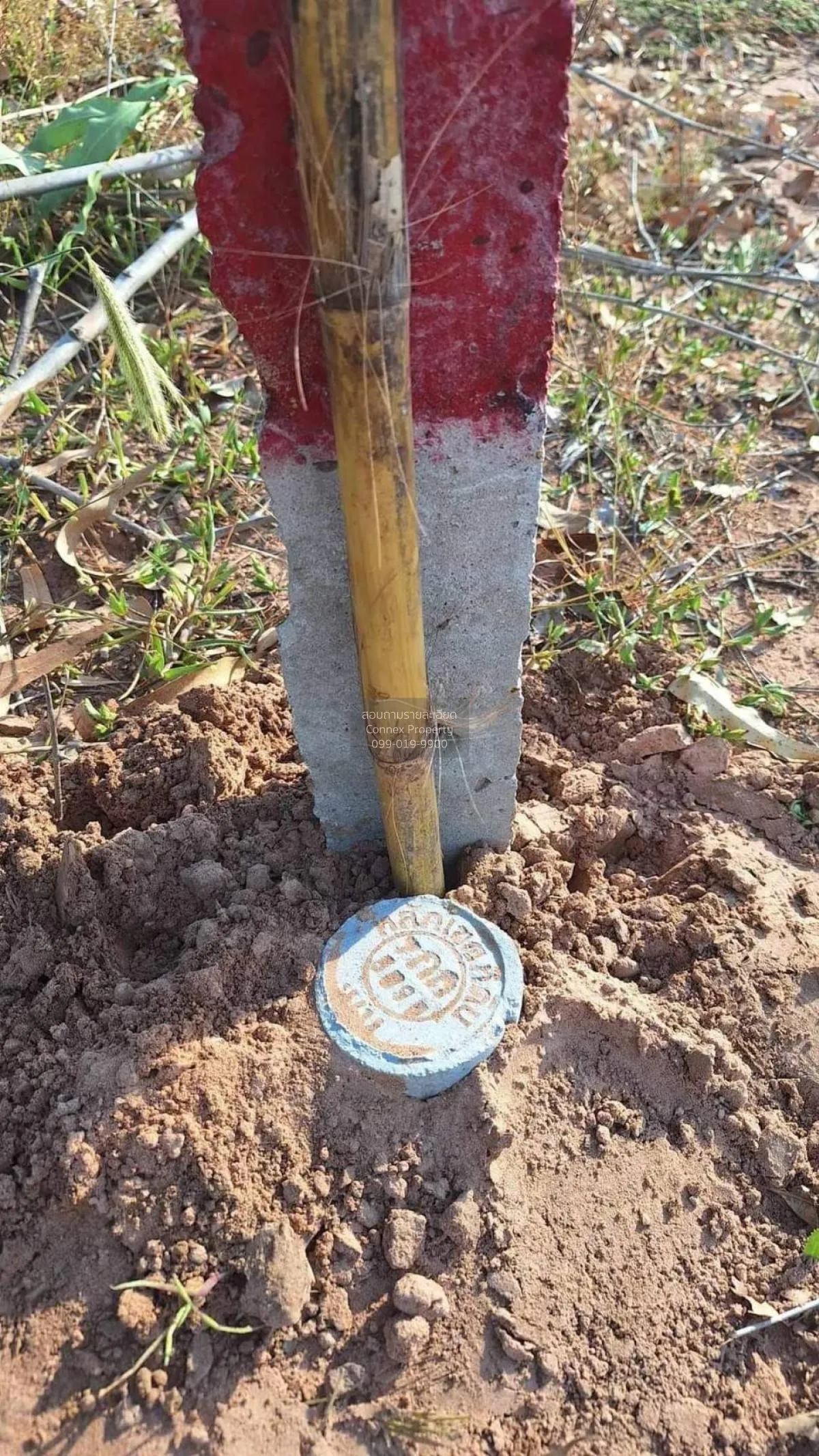 ขายที่ดินเปล่า นครราชสีมา หน้ากว้าง บ้านวัง โนนไทย นครราชสีมา CX-