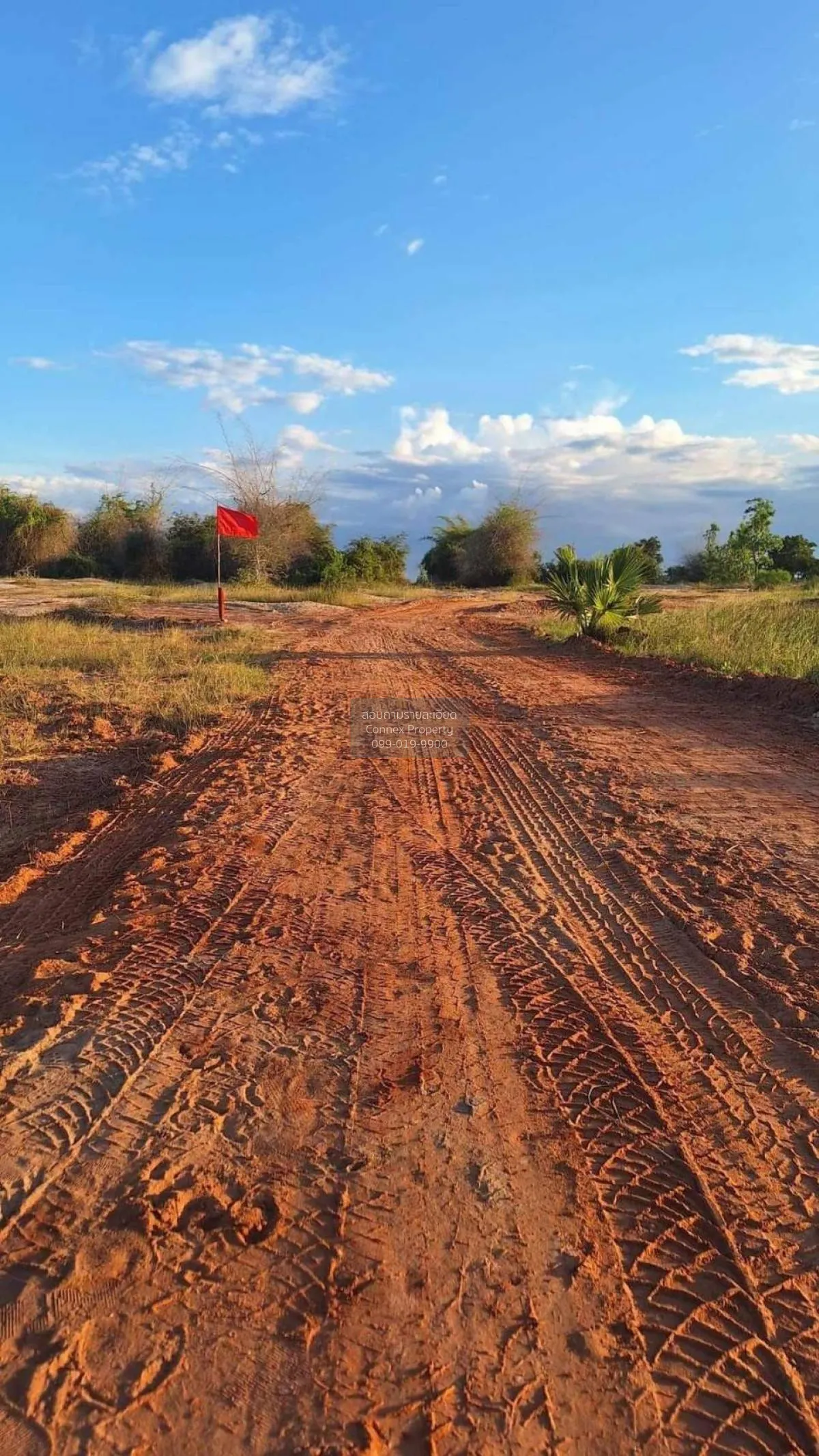 ขายที่ดินเปล่า นครราชสีมา หน้ากว้าง บ้านวัง โนนไทย นครราชสีมา CX-