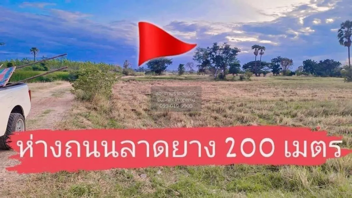 ขายที่ดินเปล่า นครราชสีมา หน้ากว้าง บ้านวัง โนนไทย นครราชสีมา CX-