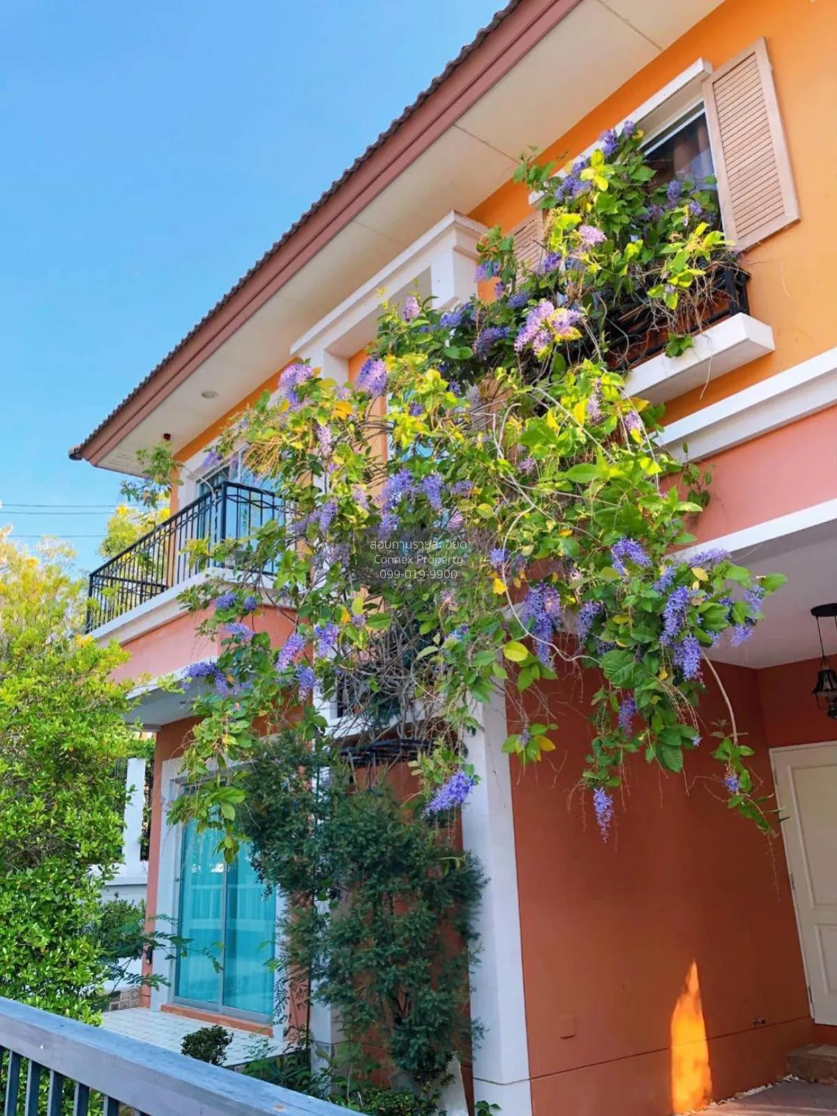 ขายบ้าน  บูเลอวาร์ด ทัสคานี ชะอำ - หัวหิน ชะอำ ชะอำ เพชรบุรี CX-1 2