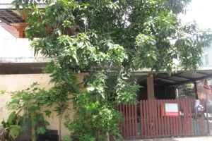 ขายบ้าน  พฤกษาวิลเลจ เดอะซีซัน รังสิต-คลอง 3 คลองสาม คลองหลวง ปทุมธานี CX-106605