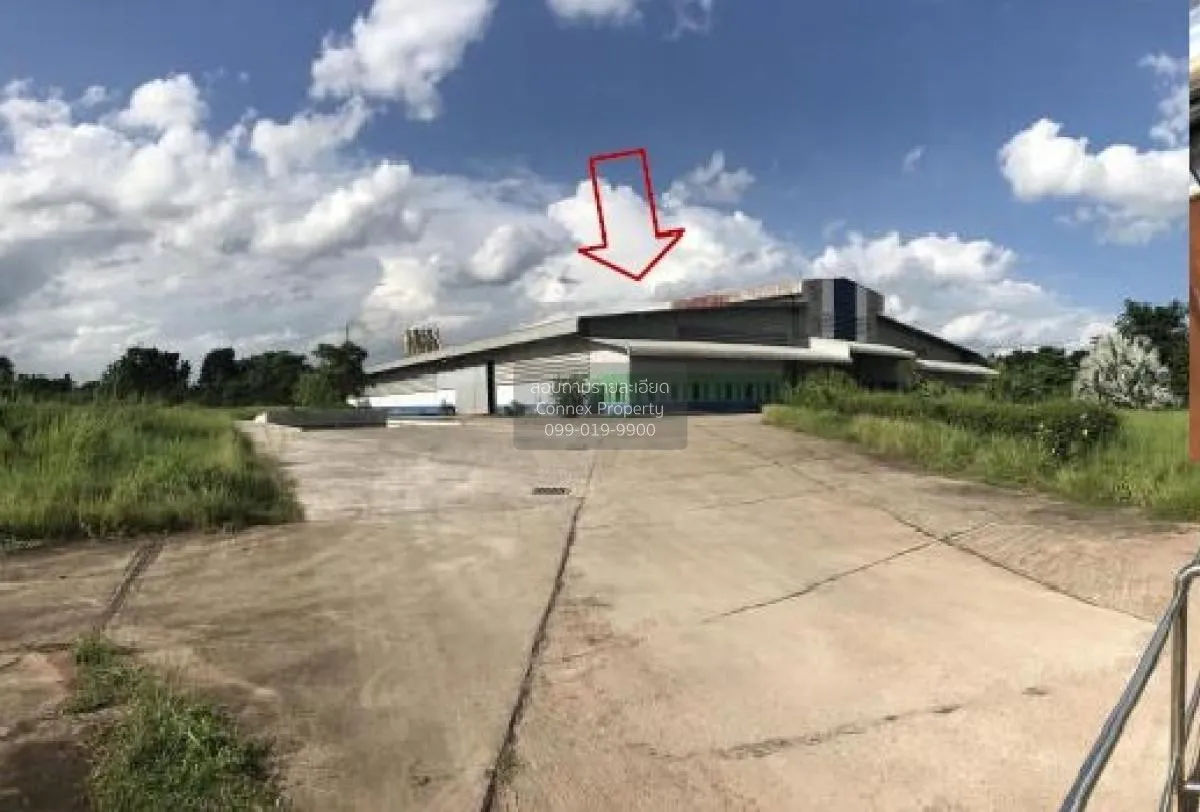 ขายโรงงาน อุดรธานี หน้ากว้าง หนองหาน หนองหาน อุดรธานี CX-106976 2
