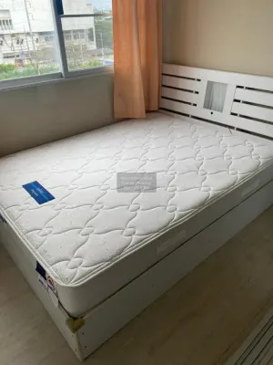 For Rent Condo , Plum Condo Park Rangsit  phase 1-3 , Khlong Nueng , khlong Luang , Pathum Thani , CX-106991