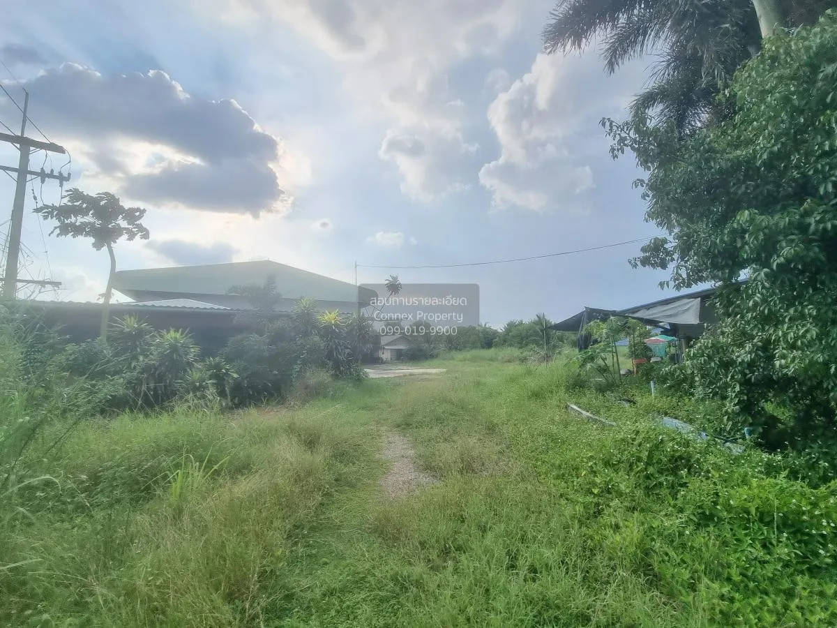 For Sale Land with building at  Phanom Sarakham Chachoengsao , Ba