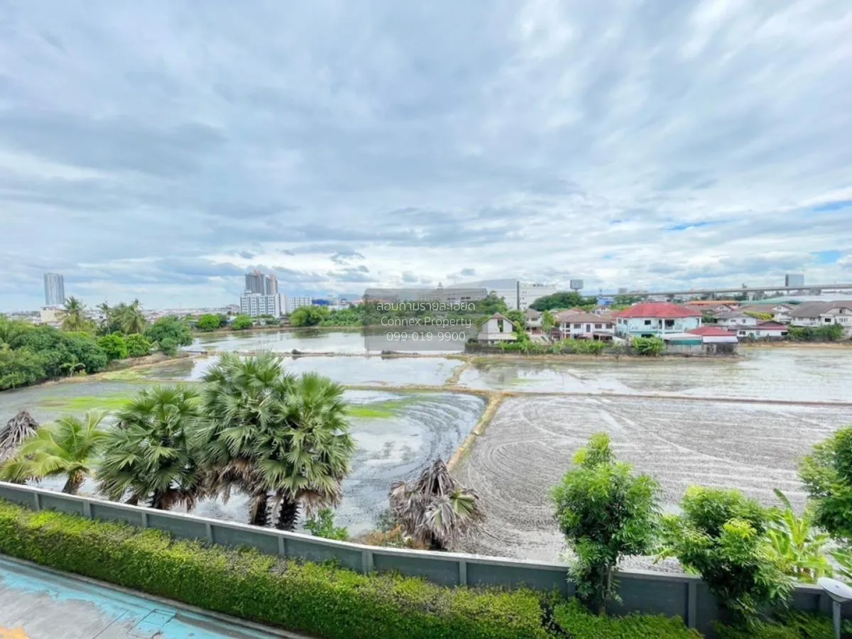 For Rent Condo , The Iris Bangyai , MRT-Khong Bang Phai , Bang Ra