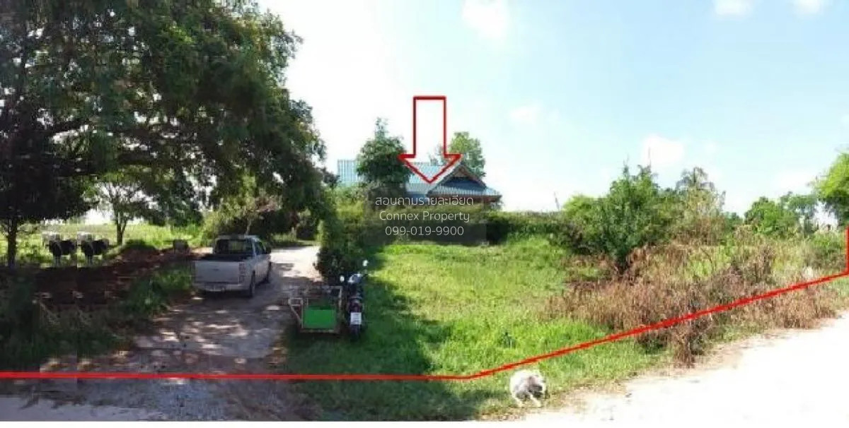 ขายบ้านเดี่ยว อุดรธานี วิวสวย หน้ากว้าง หนองอ้อ หนองวัวซอ อุดรธาน 3