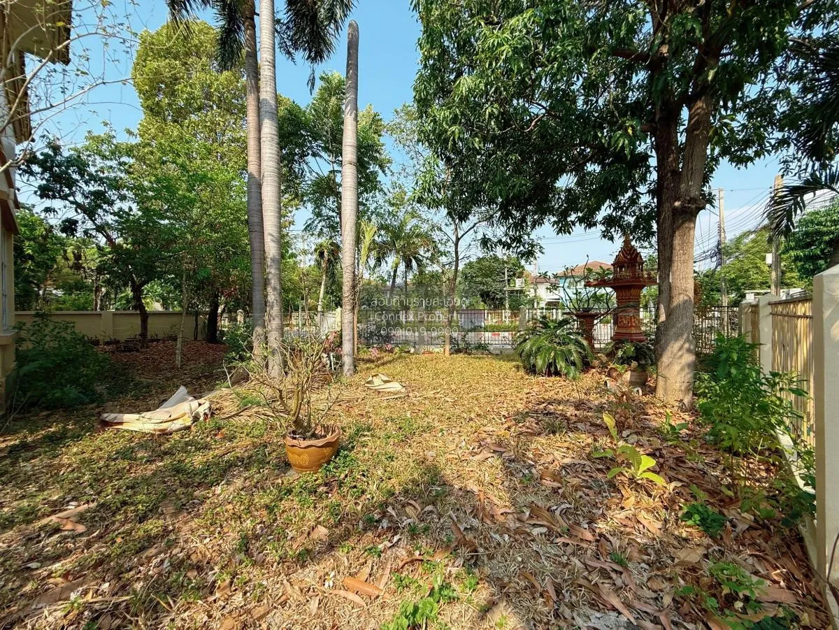 ขายบ้าน  มัณฑนา 2 ศรีนครินทร์ บางแก้ว บางพลี สมุทรปราการ CX-10741